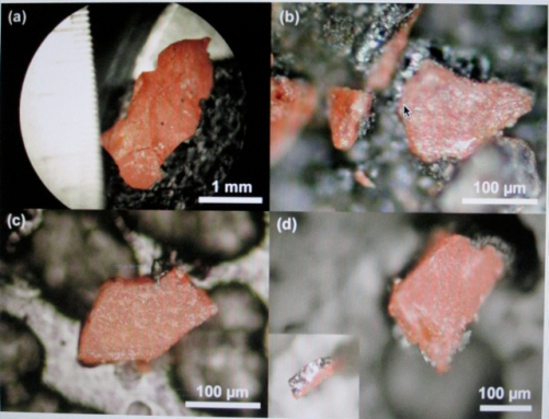 Evidence of Controlled Demolition: Traces of unexploded nano thermite (red/grey particles) found in four samples of WTC dust.